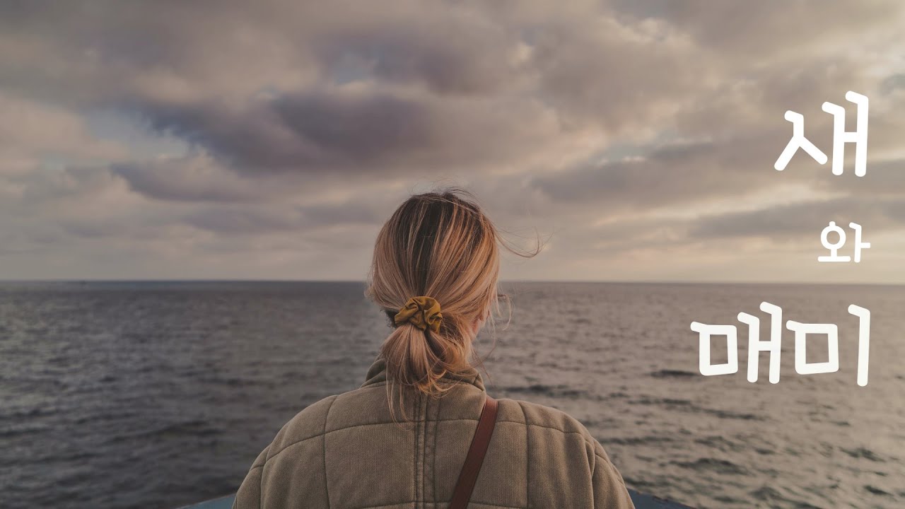 [중국노래/한글가사] 임연 - 새와 매미 ;비조화선 (任然 - 飞鸟和蝉)  /  병음, 발음 번역, 해석 / C-POP