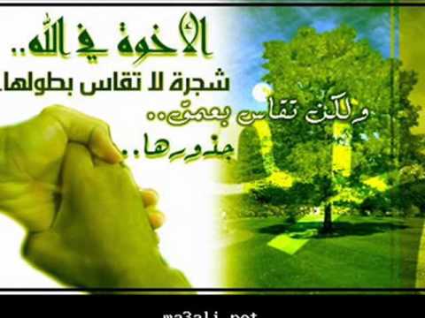 جيت اسلم يارفيقي والوله يملى حشاي