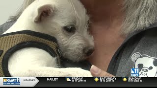Twin Falls animal rescue seeks donations through Idaho Gives campaign