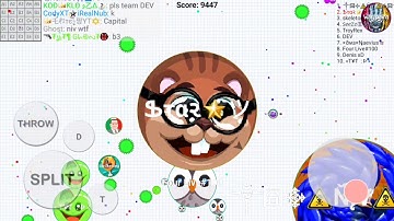 first ever linepoppsplit on blob+best edit-blob