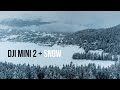 DJI Mini 2 - in some serious SNOW