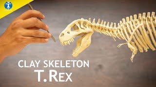 Making a Tyrannosaurus Rex skeleton in clay Resimi