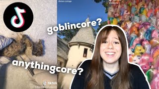 Exploring &quot;Rare Aesthetics&quot; on TikTok