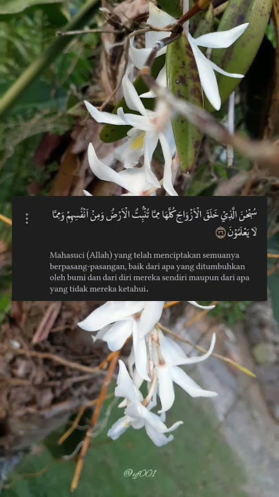 'Bukan karena bertemu lalu berjodoh, tapi karena berjodoh makanya bertemu', Ust Agam