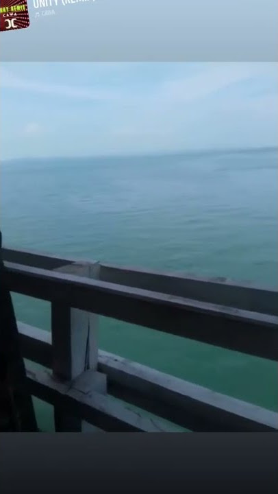 story wa pagi yg cerah