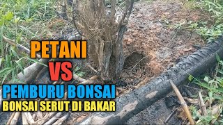 BERBURU BAHAN BONSAI DI GUNUNG