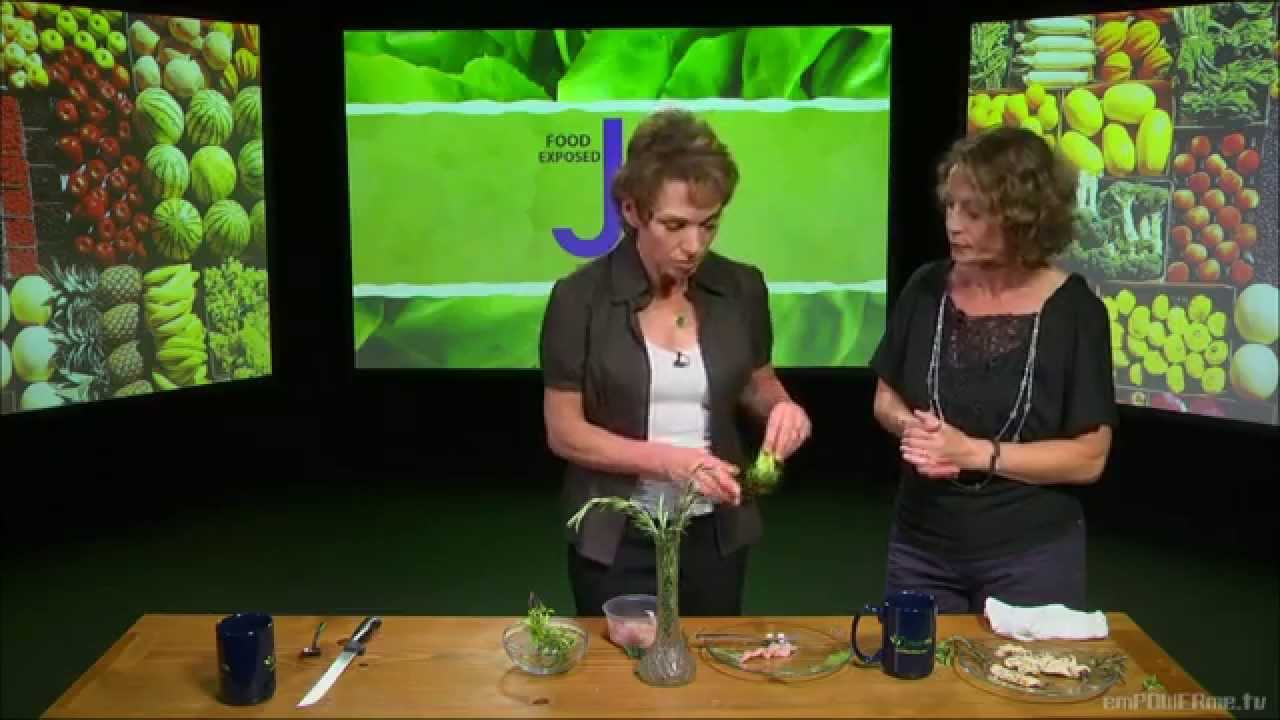 Zipstrip Herb Stripper -- FRANCE - Food Exposed: International Food & Tools Series