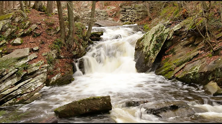 A Hike to Saugatuck Falls | Reading CT