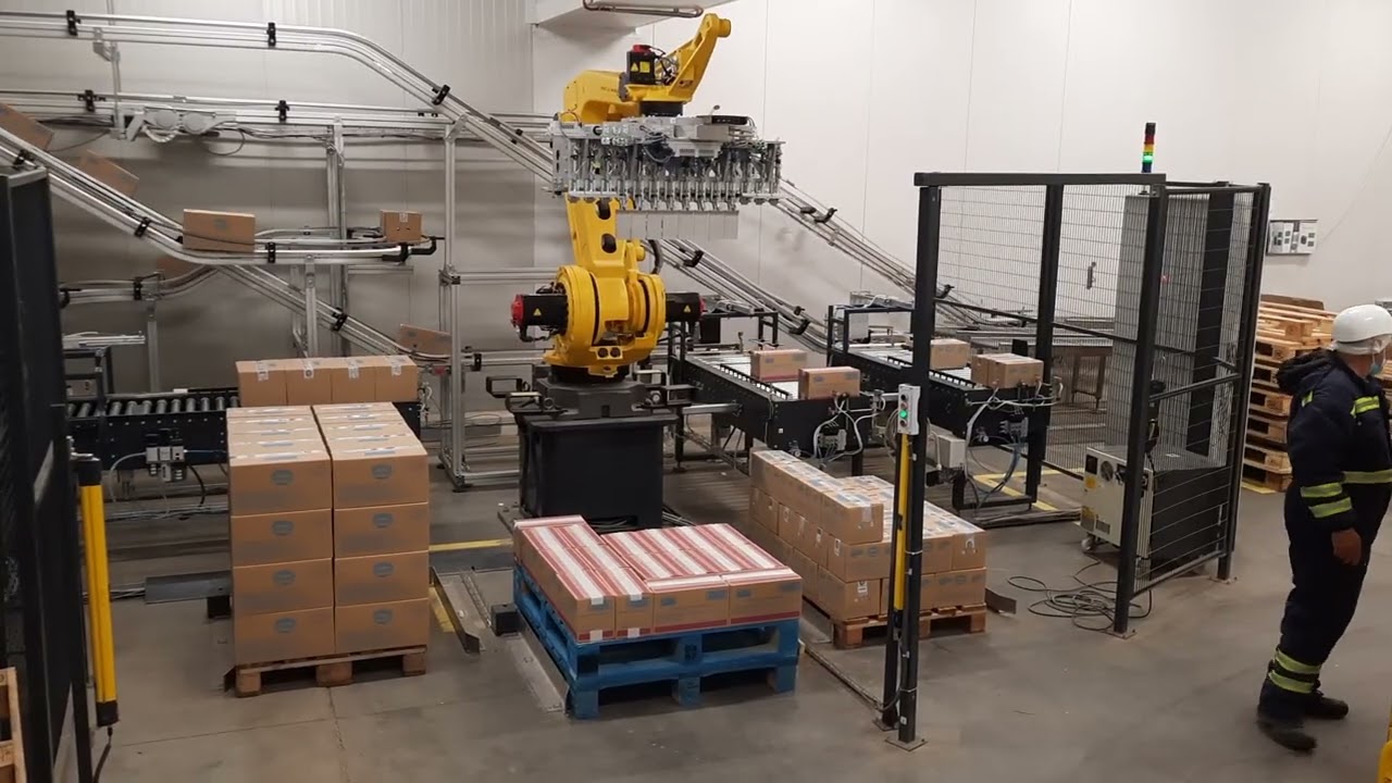 Robotska linija za paletizaciju sladoleda