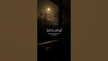 وَقَالُوا الحمد لله الذي أذهب عنا الحزن 💞القارئ أحمد النفيس 🌿
