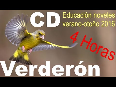 CD Verderon educar noveles 4 Horas Verano/Otoño