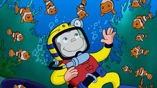 Β‘Mira todos esos peces! π | Jorge El Curioso En EspaΓ±ol