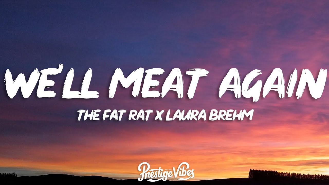 The Fat Rat & Laura Brehm - We'll meet again ( Lyrics ) 