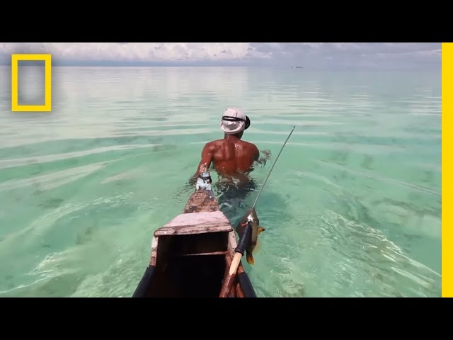 Dive With Malaysia's Master Fishermen | National Geographic class=