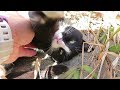 【ワレニャン】猫さんの寝床は快適空間 一緒にいると猫になった気分になれます