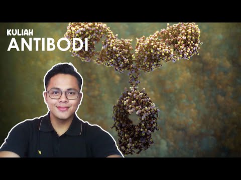 Kuliah III Imunologi & Bioteknologi Farmasi - ANTIBODI