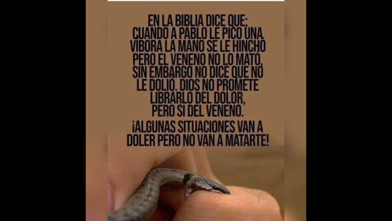 Pista Mi Trabajo es Creer - Tono para Mujer.