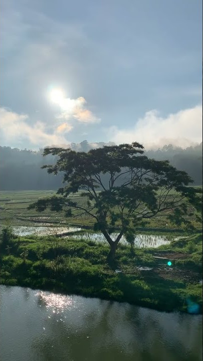 Suasana Pedesaan