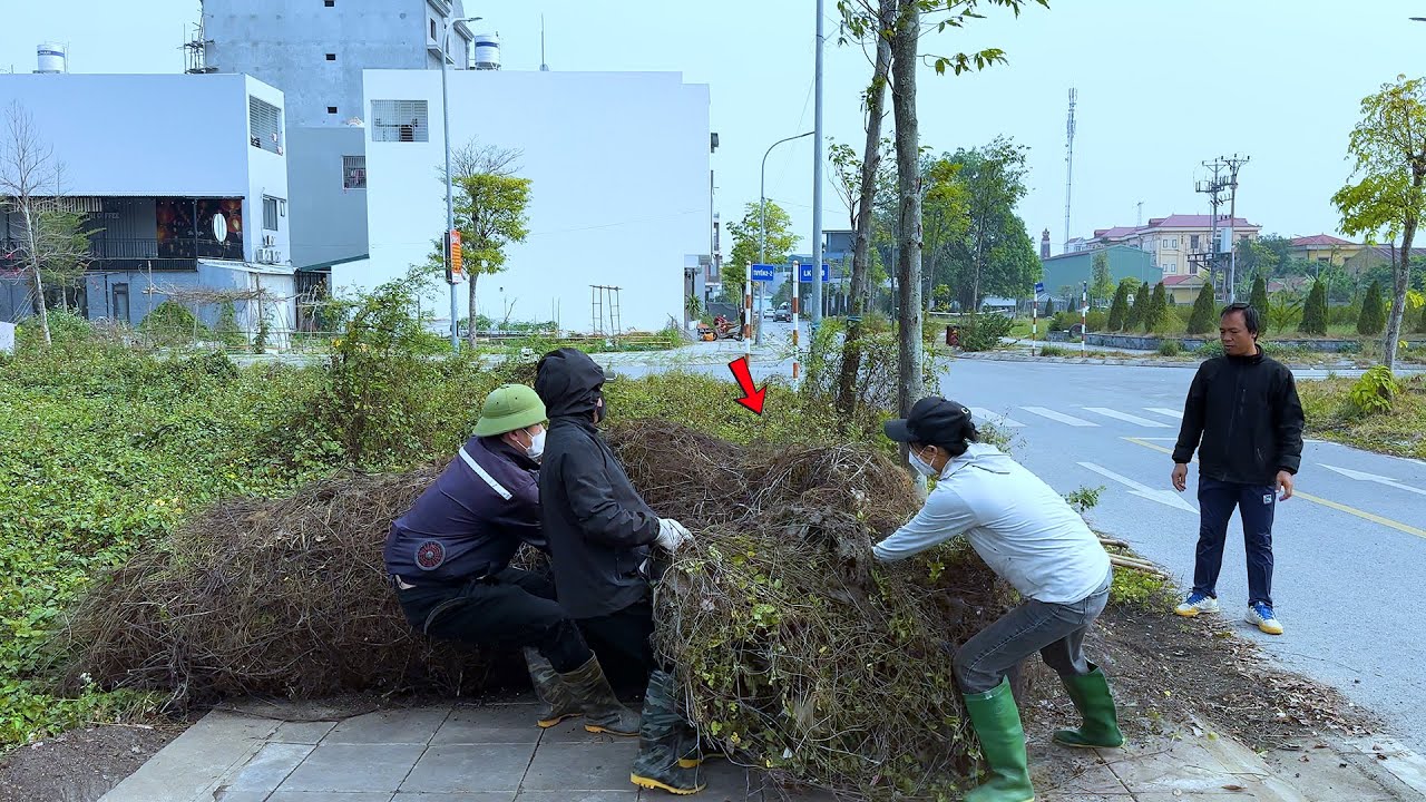 Учитель физкультуры был ошеломлен, обнаружив огромный рулон травы в своем районе