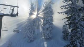 2017-01-14 Heavenly Sunrays Through the Trees