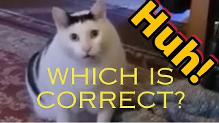 Which Cat Sound Is Correct?