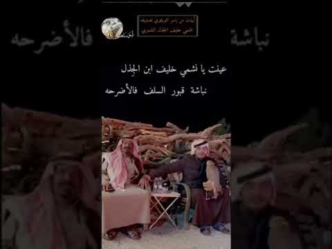 ياسر التويجري عينت يانشمي خليف بن الجذل نباشة قبور السلف فالأضرحة