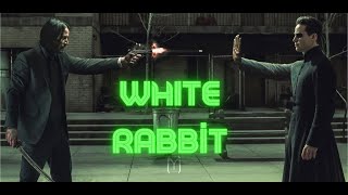 White Rabbit  Not found VERSION The Matrix Resurrections