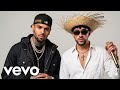 Chris Brown x Bad Bunny – Golden chains