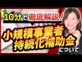 【補助金】小規模事業者持続化補助金を1から10まで徹底解説
