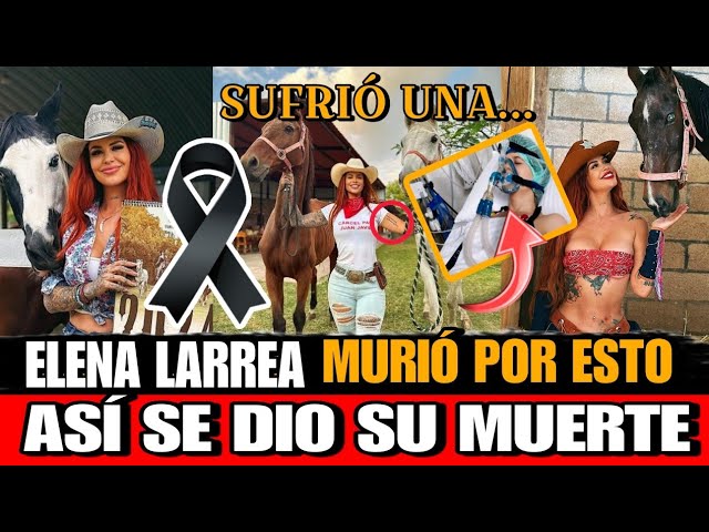 DE QUE MURIO Elena Lerrea INFLUENCER y ACTIVISTA Fundadora de Cuacolandia FALLECE Elena Larrea Hoy