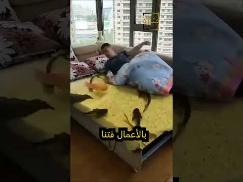 حديث باد روا بالأعمال ف ت ن ا ك ق ط ع الل يل الم ظل م اكسبلور المصحف السنة قصص