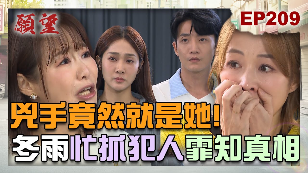 願望 EP209 完整版｜兇手竟然就是她！霏霏意外得知真相 冬雨盡力抓肇事逃逸車！挑撥離間計畫成功 愛倫把雅萱搞發瘋！｜Desires｜【莊廣和堂轉大人萃滴精】