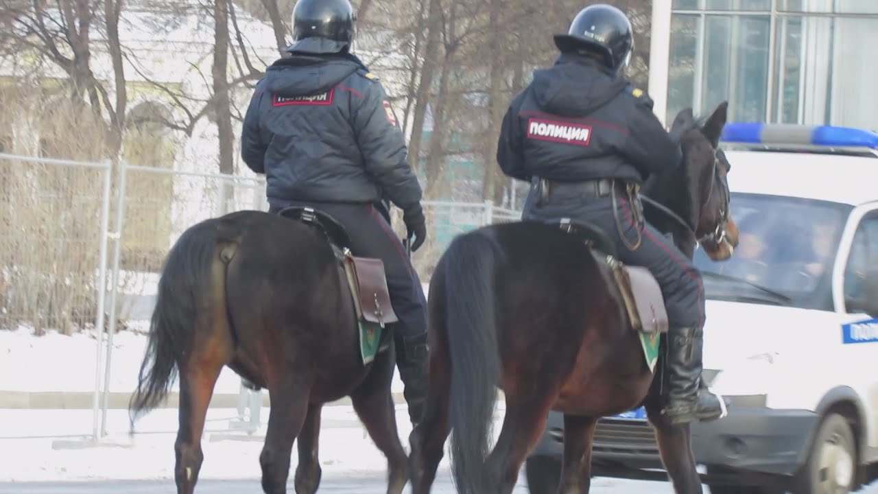 Конная полиция на ВДНХ // 2014 - YouTube