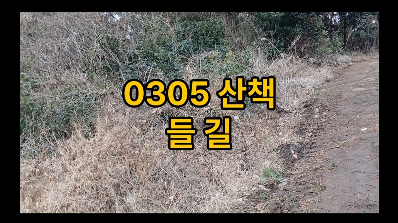 0305 산책 들길 ㅣ