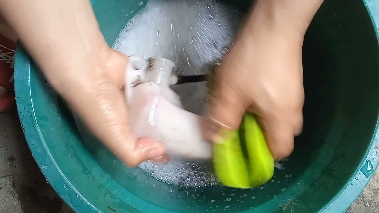 Palit coolant at drain radiator (Mxi 125)