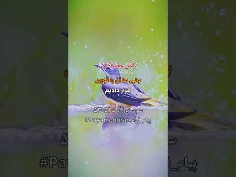 سوره شورا آیات ۵۱ ۵۳ تلاوت قرآن کریم تفسیر قرآن  پیام قرآن ترجمه قرآن کریم قرآن