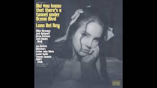 Lana Del Rey  Let The Light In Ft Father John Misty instrumental