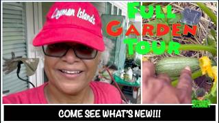 Full Garden Tour | Early June 2026 | Urban Garden Ep 210 | Zone 8A GA || Steffanie’s Journey