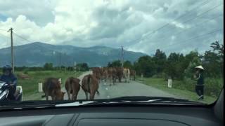 Lưu Thông Quốc Lộ 27B