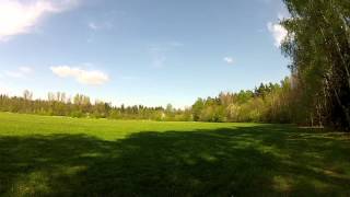 Walkera Mini CP Inverted Flight