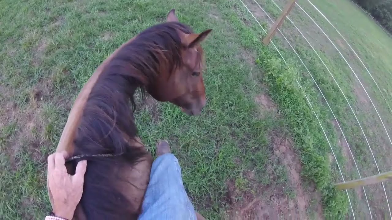 Savvy Time  August 10th, 2022