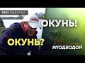 Подводные съемки! Ловля окуня осенью в Братеево. Розыгрыш!