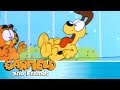 The fairy dogmother  garfield  friends