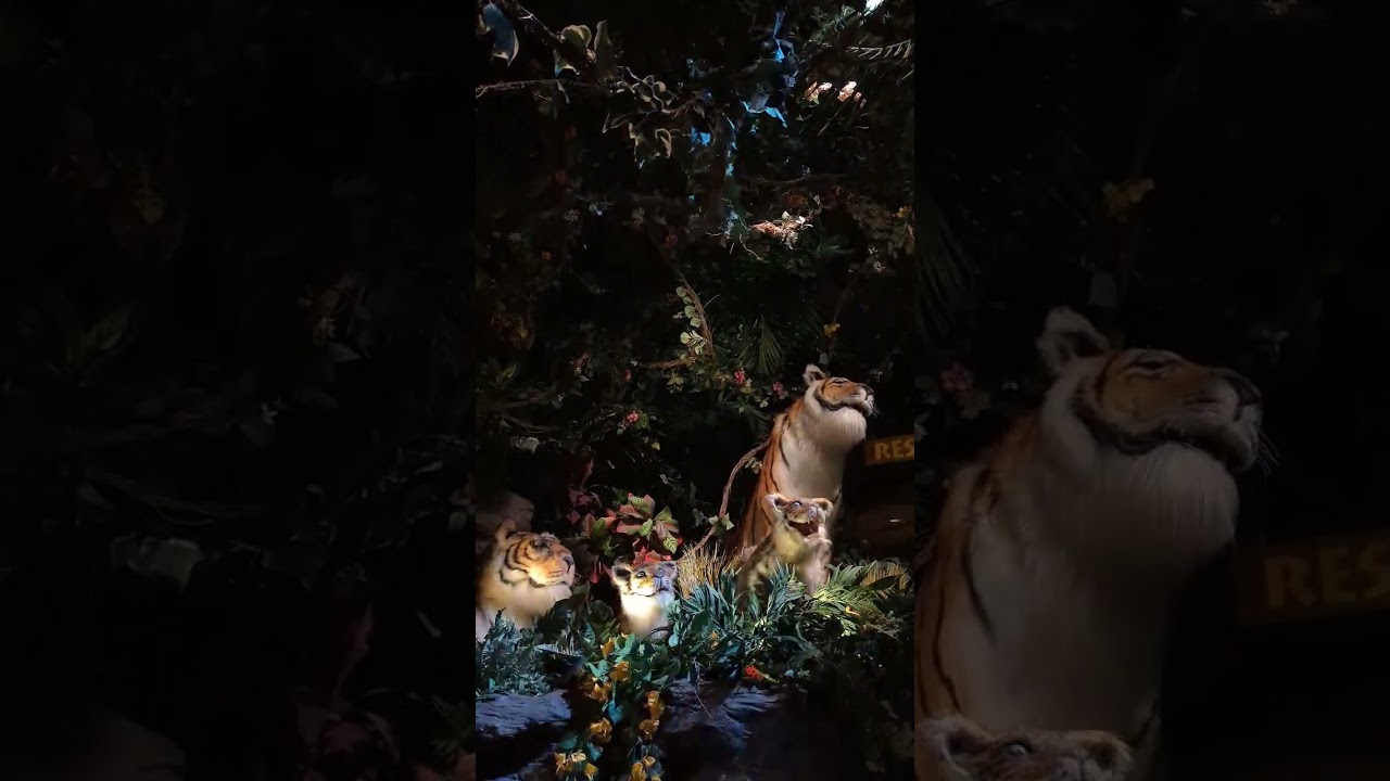 Thunderstorm Breaks Out Inside The Rainforest Cafe | Mall Of America | Bloomington Minnesota