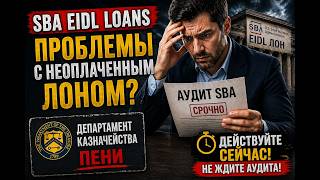 SBA EIDL кредит: АУДИТ, ШТРАФЫ и ДОЛГ — что делать прямо сейчас?