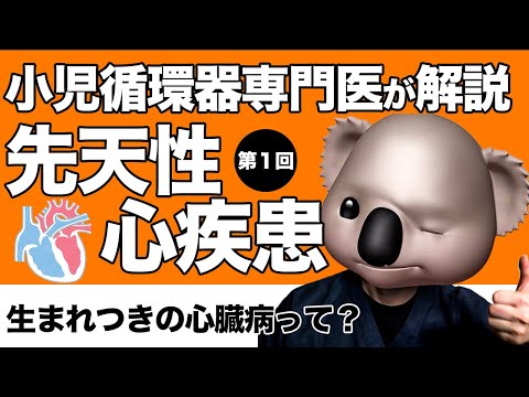 【先天性心疾患】生まれつきの心臓病とは？【第一回】