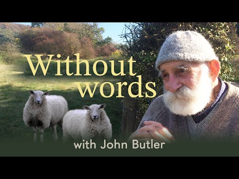 Without Words - Day #4 By The Packhorse Bridge