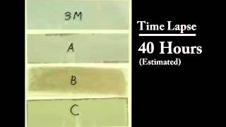 3M Prestige Window Film Corrosion Video | Campbell Window Film @CampbellWindowFilm