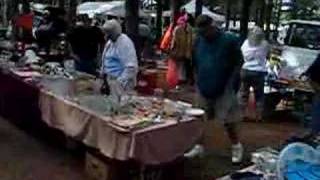 Wisconsin Flea Market in the Woods