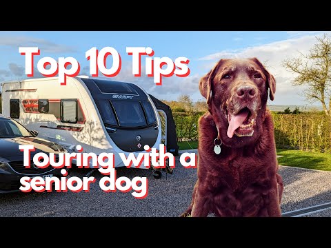 Caravanning with a Senior Dog | Caravan Vlogs from Mac & Sarah